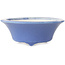 Maceta redonda azul para bonsái de Seifu - 85 x 85 x 35 mm