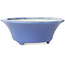 Maceta redonda azul para bonsái de Seifu - 85 x 85 x 35 mm