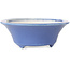 Runder blauer Bonsai-Topf von Seifu – 85 x 85 x 35 mm