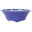 Ronde donkerblauwe bonsaipot van Seifu - 120 x 120 x 48 mm