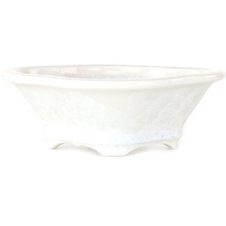  Heian Senzan Maceta para bonsái de 155 mm con esmalte blanco mokko y cristales de Heian Senzan, Tokoname, Japón