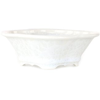  Heian Senzan 170 mm mokko white, crystal glaze bonsai pot by Heian Senzan, Tokoname, Japan