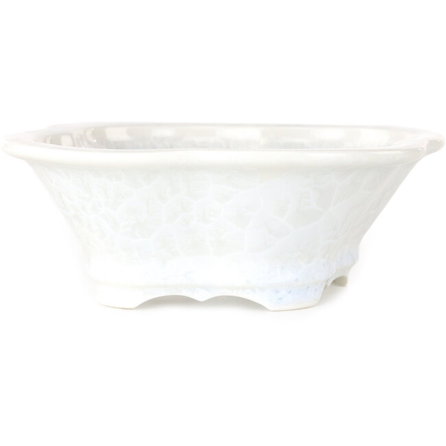 Vaso per bonsai Mokko bianco, smalto cristallino di Heian Senzan - 170 x 160 x 58 mm