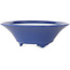 Round dark blue bonsai pot by Seifu - 120 x 120 x 40 mm