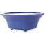 Pot à bonsaï rond bleu foncé de Seifu - 85 x 85 x 35 mm