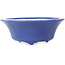 Vaso bonsai rotondo blu scuro di Seifu - 85 x 85 x 35 mm
