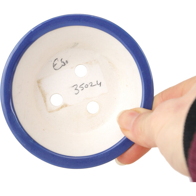 Round dark blue bonsai pot by Seifu - 85 x 85 x 35 mm