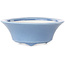 Maceta redonda para bonsái azul claro de Seifu - 85 x 85 x 35 mm