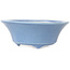 Maceta redonda para bonsái azul claro de Seifu - 85 x 85 x 35 mm