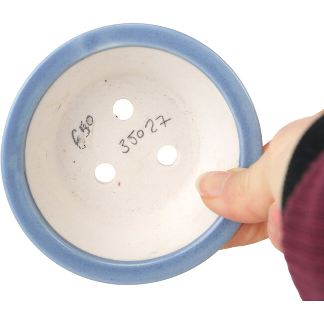 Pot à bonsaï rond bleu clair de Seifu - 85 x 85 x 35 mm