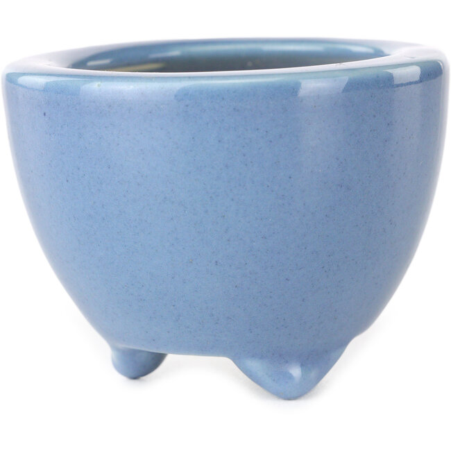 Round light blue bonsai pot by Seifu - 58 x 58 x 43 mm