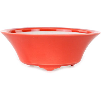 Seifu Pot à bonsaï rond rouge de 120 mm de diamètre, de la marque Seifu (Japon).