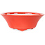 Ronde rode bonsaipot van Seifu - 120 x 120 x 48 mm