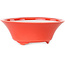 Maceta redonda roja para bonsái de Seifu - 120 x 120 x 48 mm
