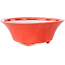 Pot à bonsaï rond rouge de Seifu - 120 x 120 x 48 mm