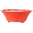 Round red bonsai pot by Seifu - 120 x 120 x 48 mm