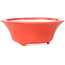 Ronde rode bonsaipot van Seifu - 85 x 85 x 35 mm