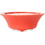 Maceta redonda roja para bonsái de Seifu - 85 x 85 x 35 mm