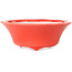 Maceta redonda roja para bonsái de Seifu - 85 x 85 x 35 mm
