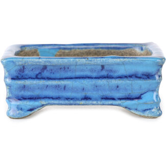  Satomi Mazan, Mazan Terahata Maceta rectangular para bonsái azul de 72 mm de Terahata Satomi Mazan, Tokoname, Japón