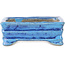 Maceta rectangular para bonsái azul de Terahata Satomi Mazan - 72 x 50 x 27 mm