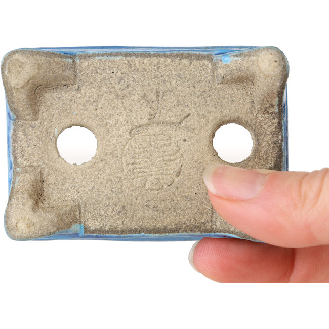 Pot à bonsaï rectangulaire bleu par Terahata Satomi Mazan - 72 x 50 x 27 mm