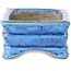Pot à bonsaï rectangulaire bleu par Terahata Satomi Mazan - 72 x 50 x 27 mm