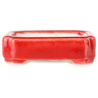  Satomi Mazan, Mazan Terahata Maceta rectangular para bonsái roja de 72 mm de Terahata Satomi Mazan, Tokoname, Japón