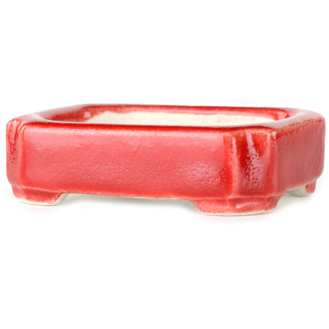 Rectangular red bonsai pot by Terahata Satomi Mazan - 72 x 58 x 20 mm