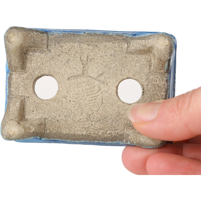 Maceta rectangular para bonsái azul de Terahata Satomi Mazan - 72 x 50 x 27 mm