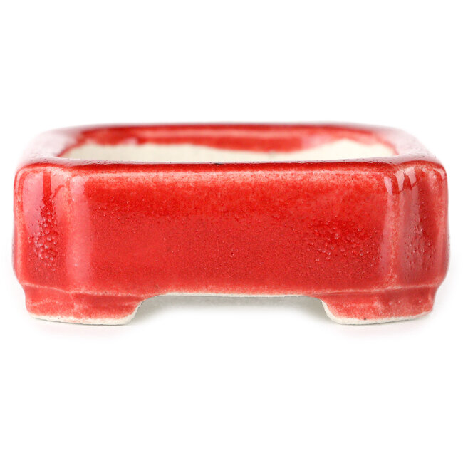 Pot à bonsaï rectangulaire rouge par Terahata Satomi Mazan - 72 x 58 x 20 mm
