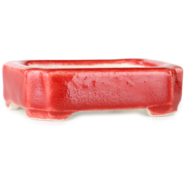 Maceta rectangular para bonsái roja de Terahata Satomi Mazan - 72 x 58 x 20 mm