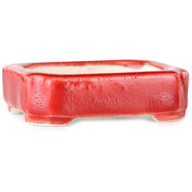 Rectangular red bonsai pot by Terahata Satomi Mazan - 72 x 58 x 20 mm