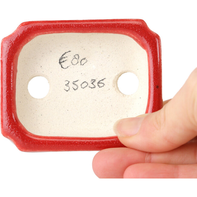 Maceta rectangular para bonsái roja de Terahata Satomi Mazan - 72 x 58 x 20 mm