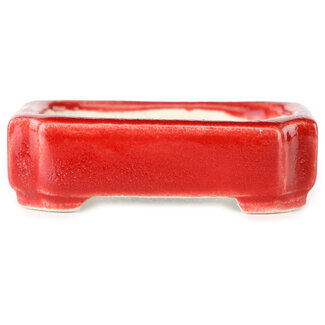  Satomi Mazan, Mazan Terahata Maceta rectangular para bonsái roja de 72 mm de Terahata Satomi Mazan, Tokoname, Japón