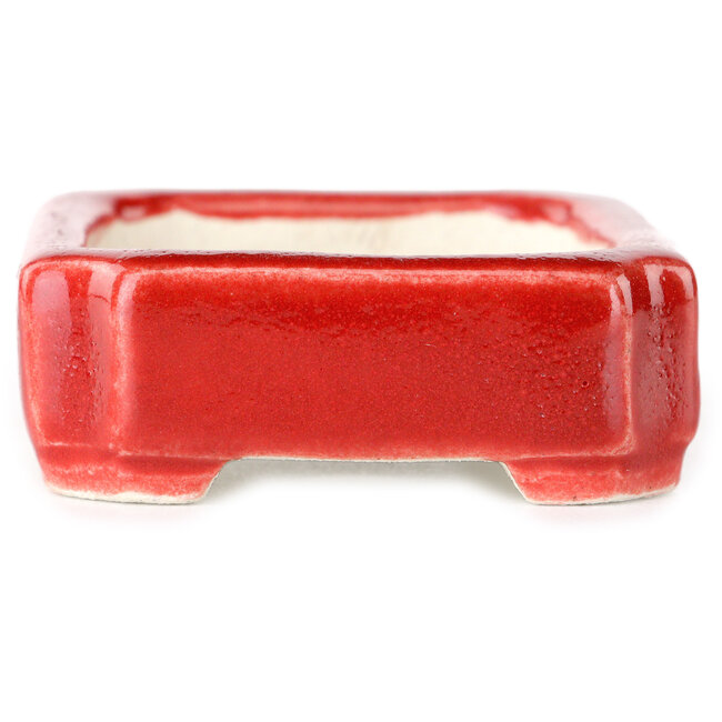 Rectangular red bonsai pot by Terahata Satomi Mazan - 72 x 58 x 20 mm