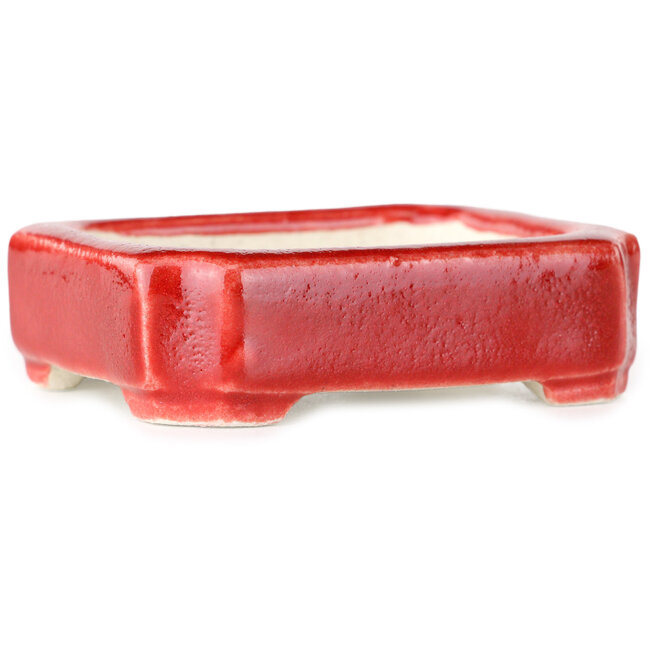 Rectangular red bonsai pot by Terahata Satomi Mazan - 72 x 58 x 20 mm