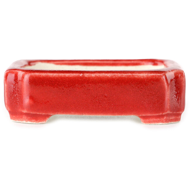 Pot à bonsaï rectangulaire rouge par Terahata Satomi Mazan - 72 x 58 x 20 mm