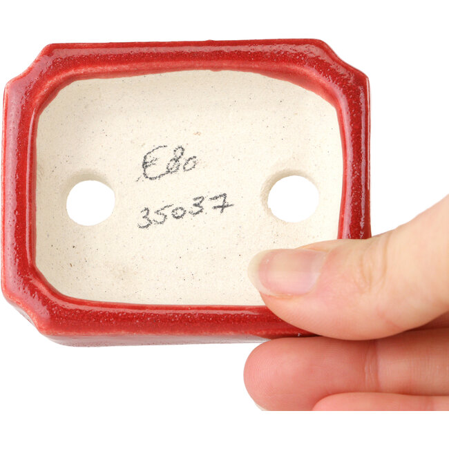 Rectangular red bonsai pot by Terahata Satomi Mazan - 72 x 58 x 20 mm