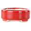 Vaso bonsai ovale rosso di Terahata Satomi Mazan - 95 x 70 x 25 mm