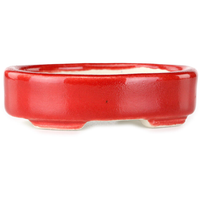 Maceta ovalada para bonsái roja de Terahata Satomi Mazan - 95 x 70 x 25 mm