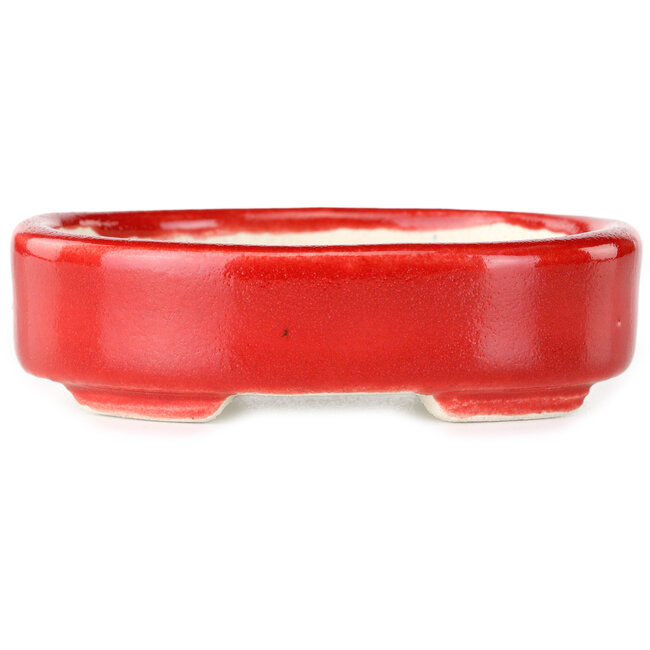 Oval red bonsai pot by Terahata Satomi Mazan - 95 x 70 x 25 mm