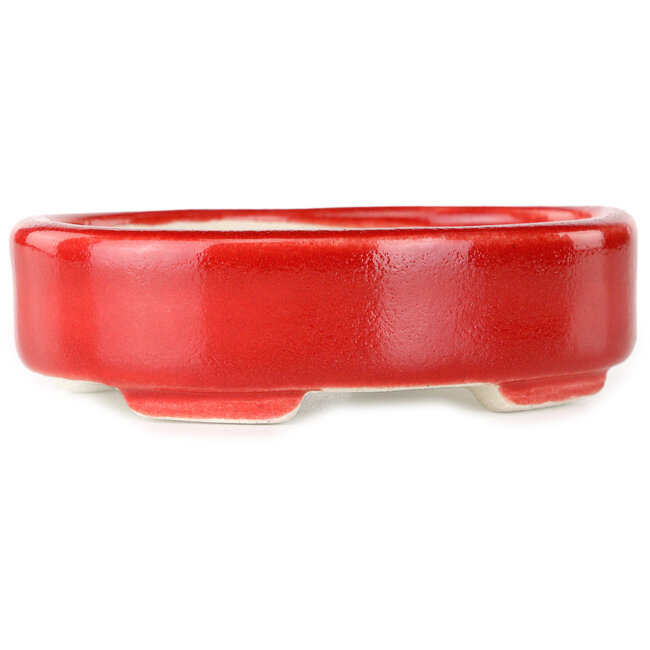 Vaso bonsai ovale rosso di Terahata Satomi Mazan - 95 x 70 x 25 mm