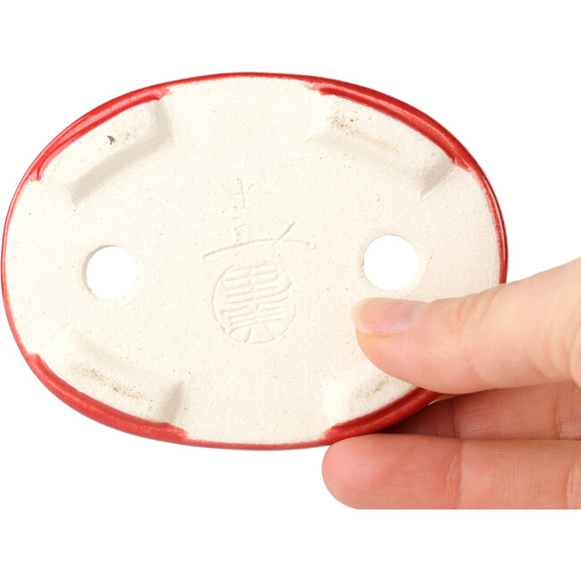Maceta ovalada para bonsái roja de Terahata Satomi Mazan - 95 x 70 x 25 mm