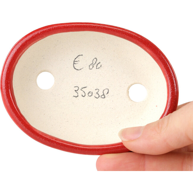 Maceta ovalada para bonsái roja de Terahata Satomi Mazan - 95 x 70 x 25 mm