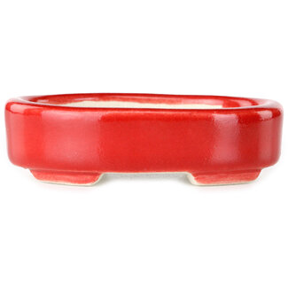  Satomi Mazan, Mazan Terahata 95 mm oval red bonsai pot by Terahata Satomi Mazan, Tokoname, Japan