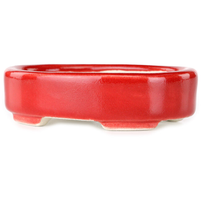 Oval red bonsai pot by Terahata Satomi Mazan - 95 x 70 x 25 mm