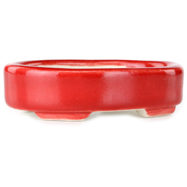 Oval red bonsai pot by Terahata Satomi Mazan - 95 x 70 x 25 mm