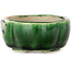 Maceta para bonsái craquelé verde Mokko de Terahata Satomi Mazan - 102 x 85 x 40 mm