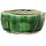 Maceta para bonsái craquelé verde Mokko de Terahata Satomi Mazan - 102 x 85 x 40 mm